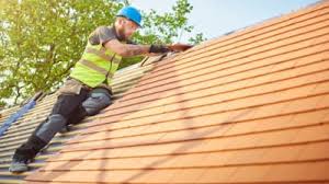 Best Skylight Installation and Repair  in Penitas, TX