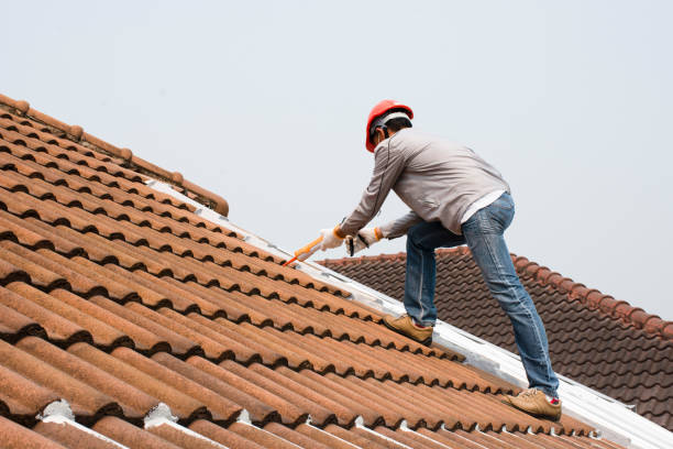 Best Roof Insulation Installation  in Penitas, TX