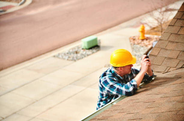 Best Chimney Flashing Repair  in Penitas, TX