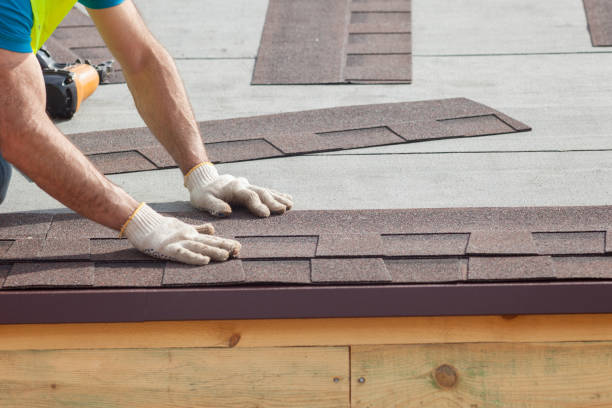 Best Metal Roofing Installation  in Penitas, TX