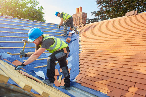 Best Metal Roofing Installation  in Penitas, TX
